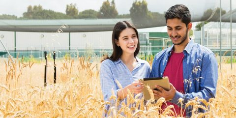 Agriculture, environment and sustainability