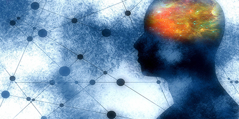 An animated side profile of a human head and mind