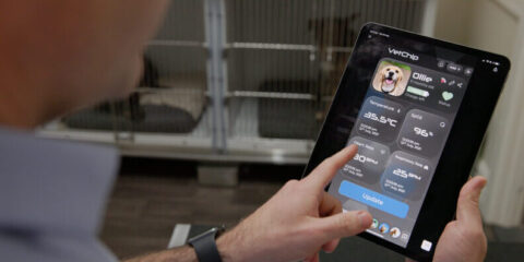 Tiny microchip to keep pets safe crowned a Curtinnovation winner